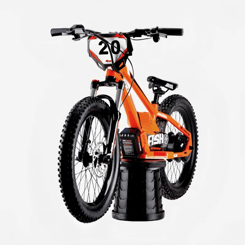 20inch Kids&Adult Electric Balance Bike 36V 400W Hub Motor Ebike 36V 2.5Ah Lithium Battery Electric Push bike