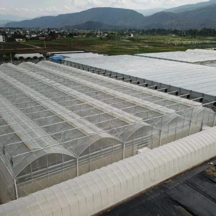 Fuma Complete Conservatory Wrought Iron Film Greenhouse Single-span Greenhouse Agriculture