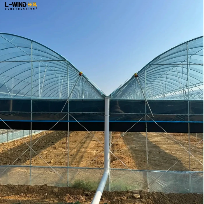 Hot Selling Ecological Greenhouse Low Cost Multi Span Plastic Film Greenhouse With Fish And Vegetable Symbiosis System For Sale