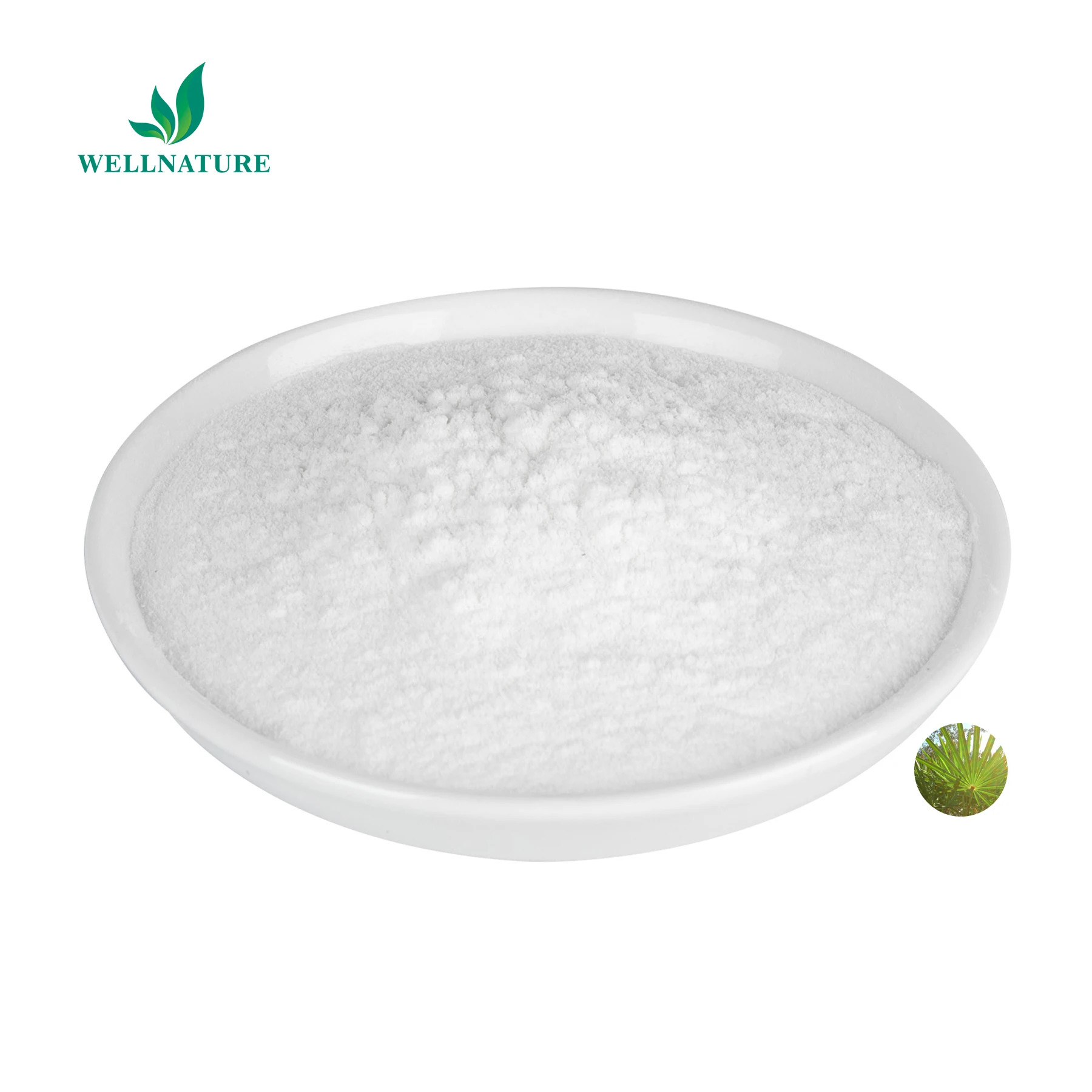 Natural Saw Palmetto Powder Extract High Quality Saw Palmetto Extract Supplier Best Price Palma Enana Americana Free Sample