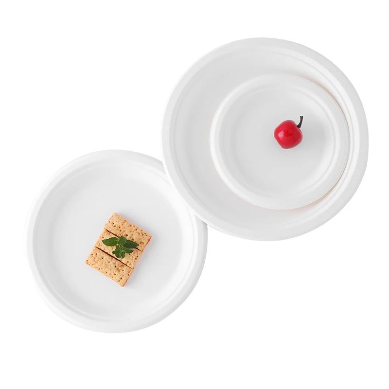chinese supplier bagasse tableware sugarcane pulp plate and bowls biodegradable disposable plates