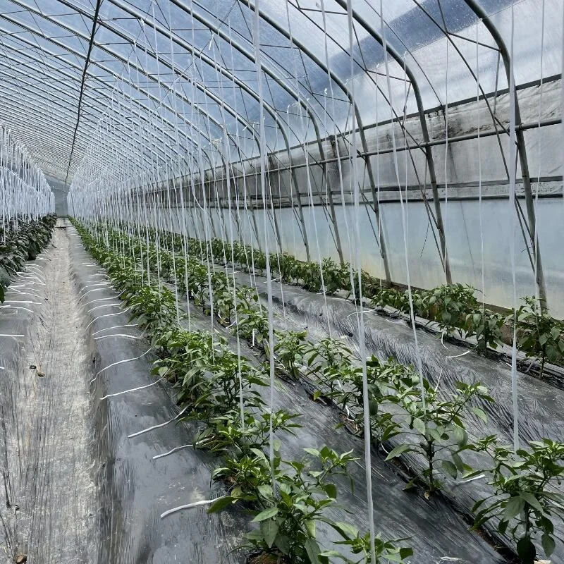 Сад Bee био разлагаемая пластиковая мульчирующая пленка Садоводство сельское хозяйство пленка открытый сад пейзаж защита от сорняков блокиратор