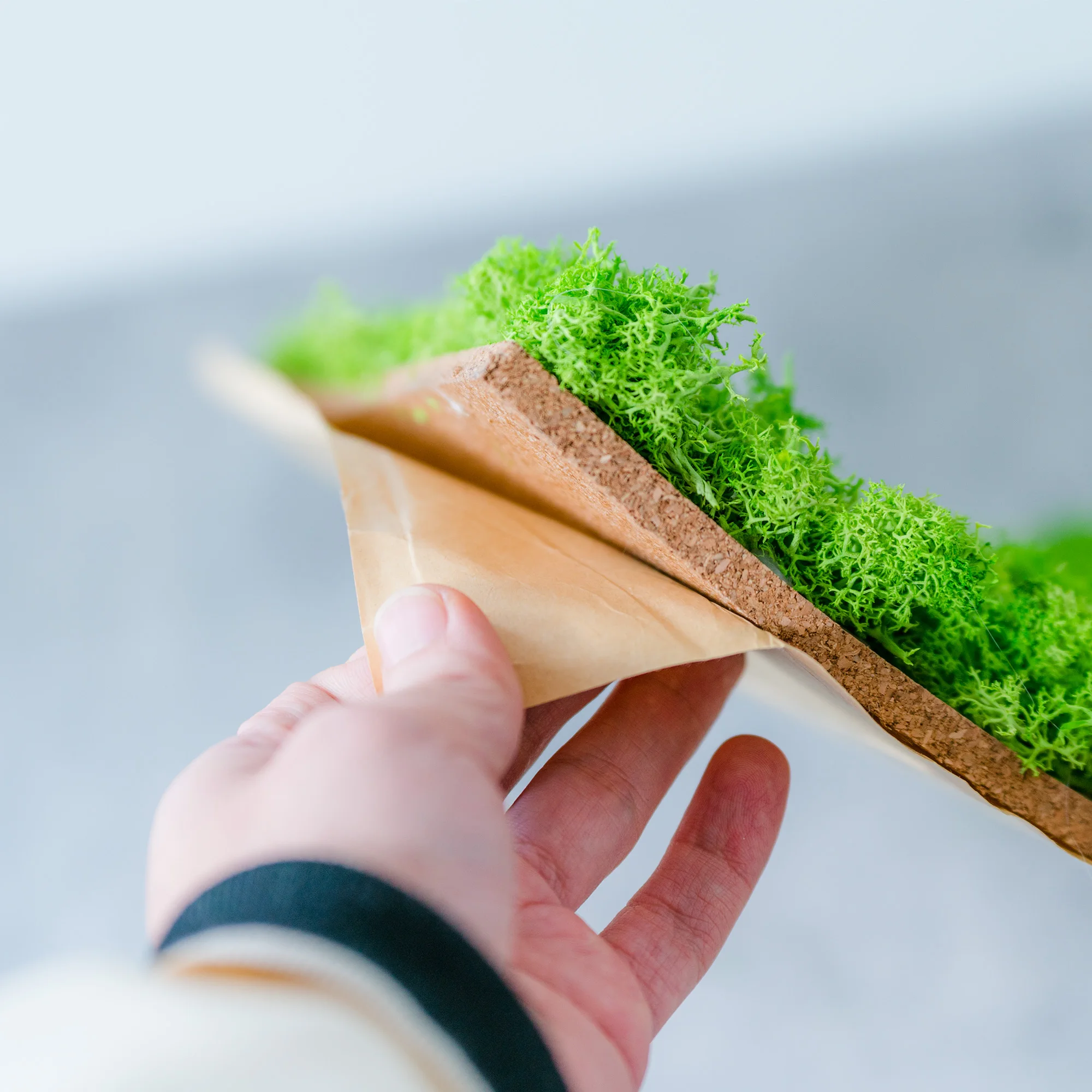 high quality Wall Art Moss Panel Decorations Tiles Architectural Factory Supply real Preserved flower Moss