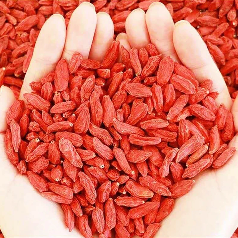 Wholesale Ningxia  red wolfberry black wolfberry bulk new goods large grain wolfberry large quantity favorably