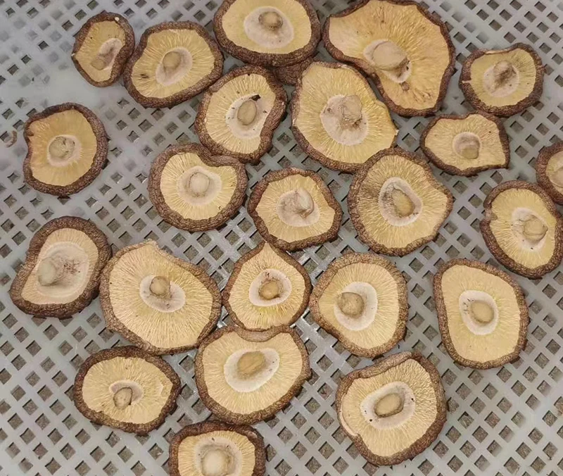 Easy Operation food Dryer For Drying  fruits  vegetables meat seafood Powered By solar or Electricity With Small Footprint