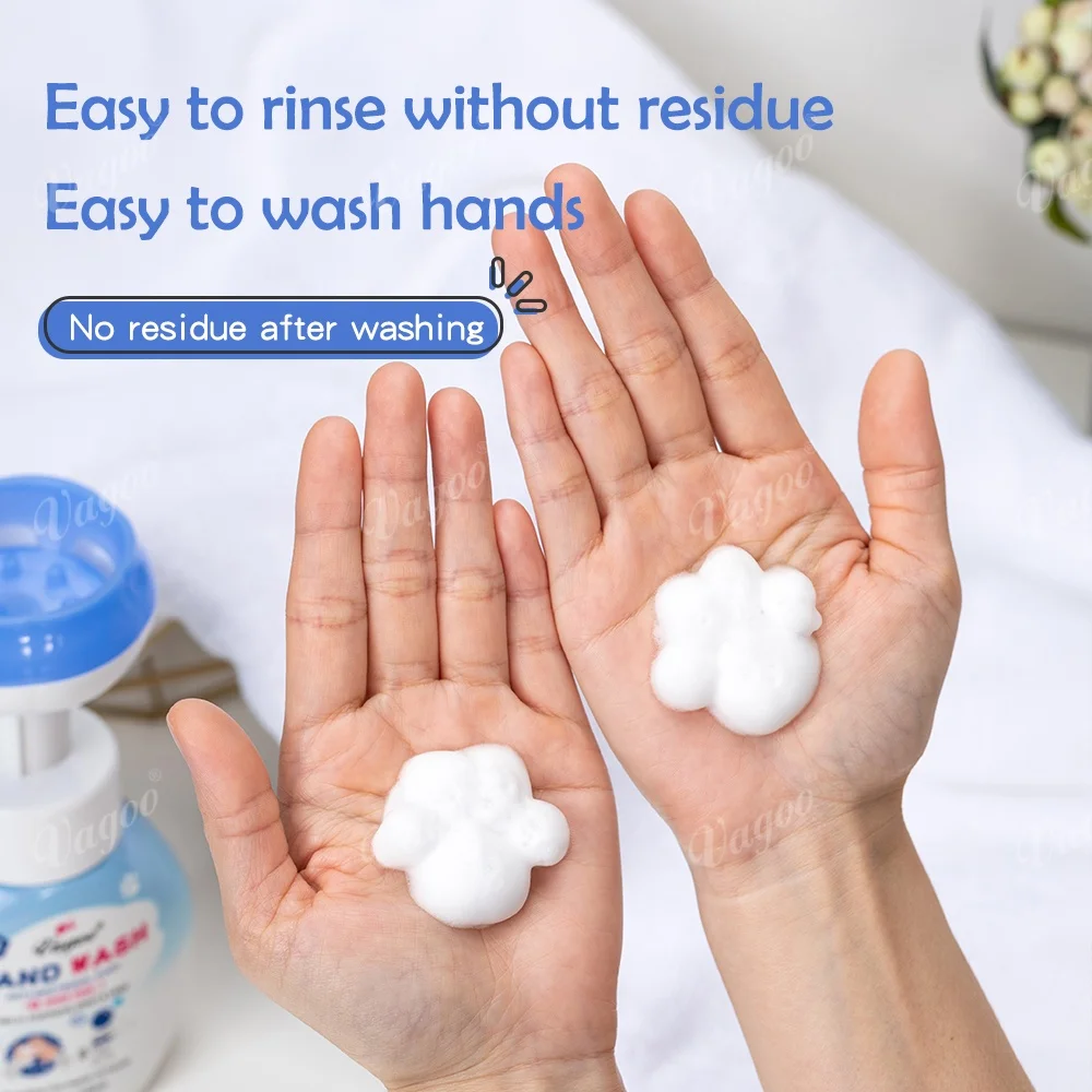 OEM Factory Fragrance Mild Hand Liquid Soap Antibacterial Bubble Foam Hand Wash