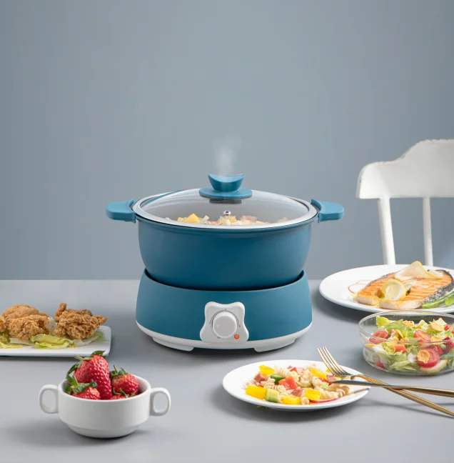 Hot Sales MYG Mini Multi Electric Cooking Pot Cooker Travel Electric Hot Pot Mini Pot for Stir Fry, Roast, Steam, Egg, Fried