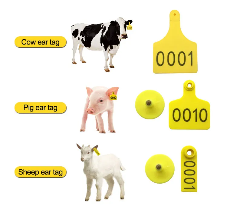 Cows ear tag-29.jpg