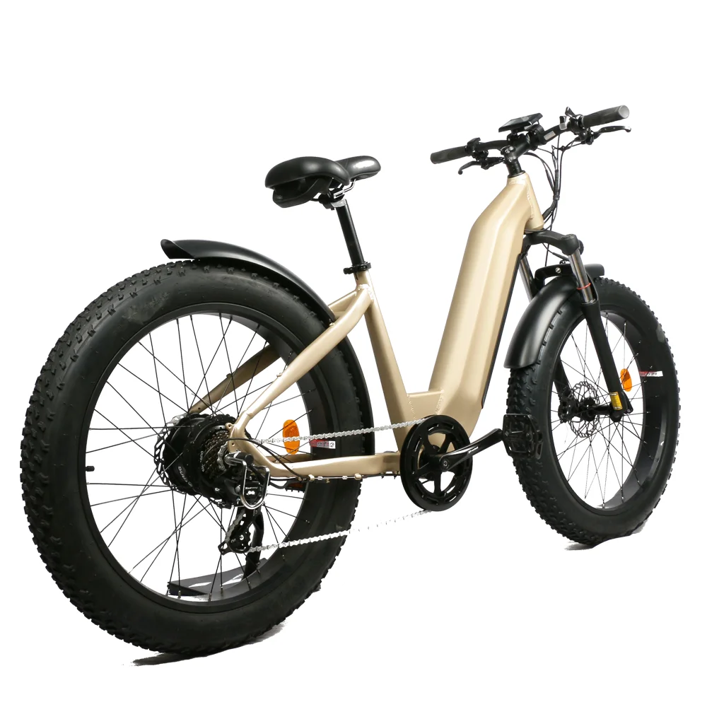 Emtb Retro Electric Hybrid Bike 750w E-Bike Road Dirt E Bike 48V Step Through Ebike Mountain  Off-road Fat Tire 1000w Ebike