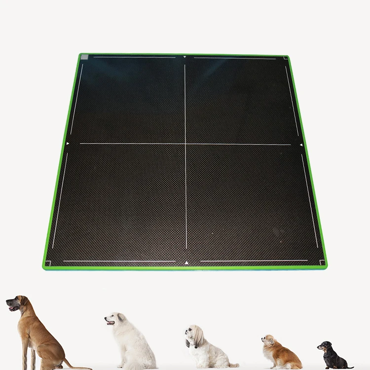 Cheap price DR flat panel detector x-ray