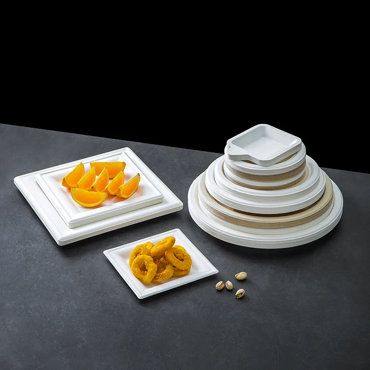 Quality Assurance Shandong Origin Food Container Disposable Cheap Square Plates