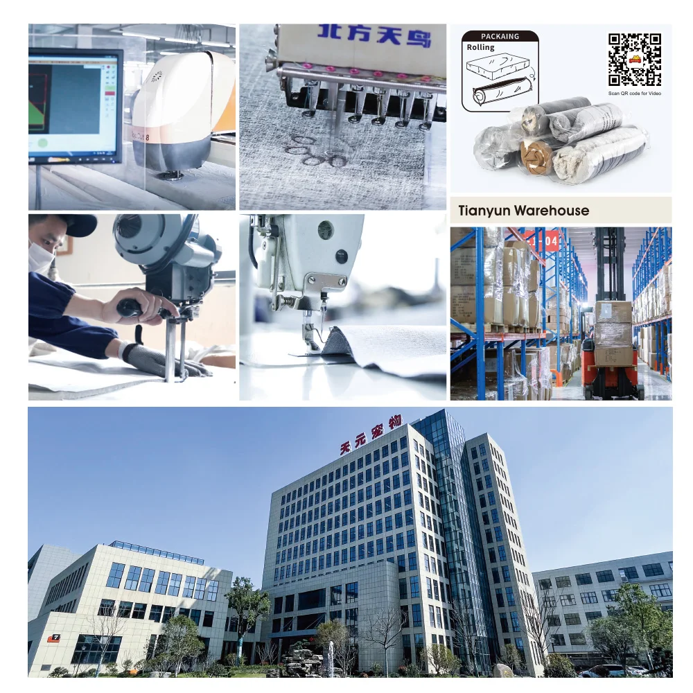 Pet Products Personalized Pet Cushion Multiple Colors Dog Bed Floor Cushions