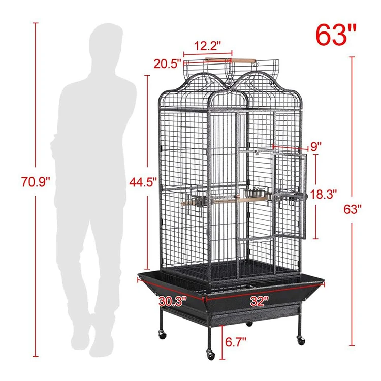 Кольцевые шейные попугаи зеленые щеки фирмы Caique Doves открытый Playtop птичья