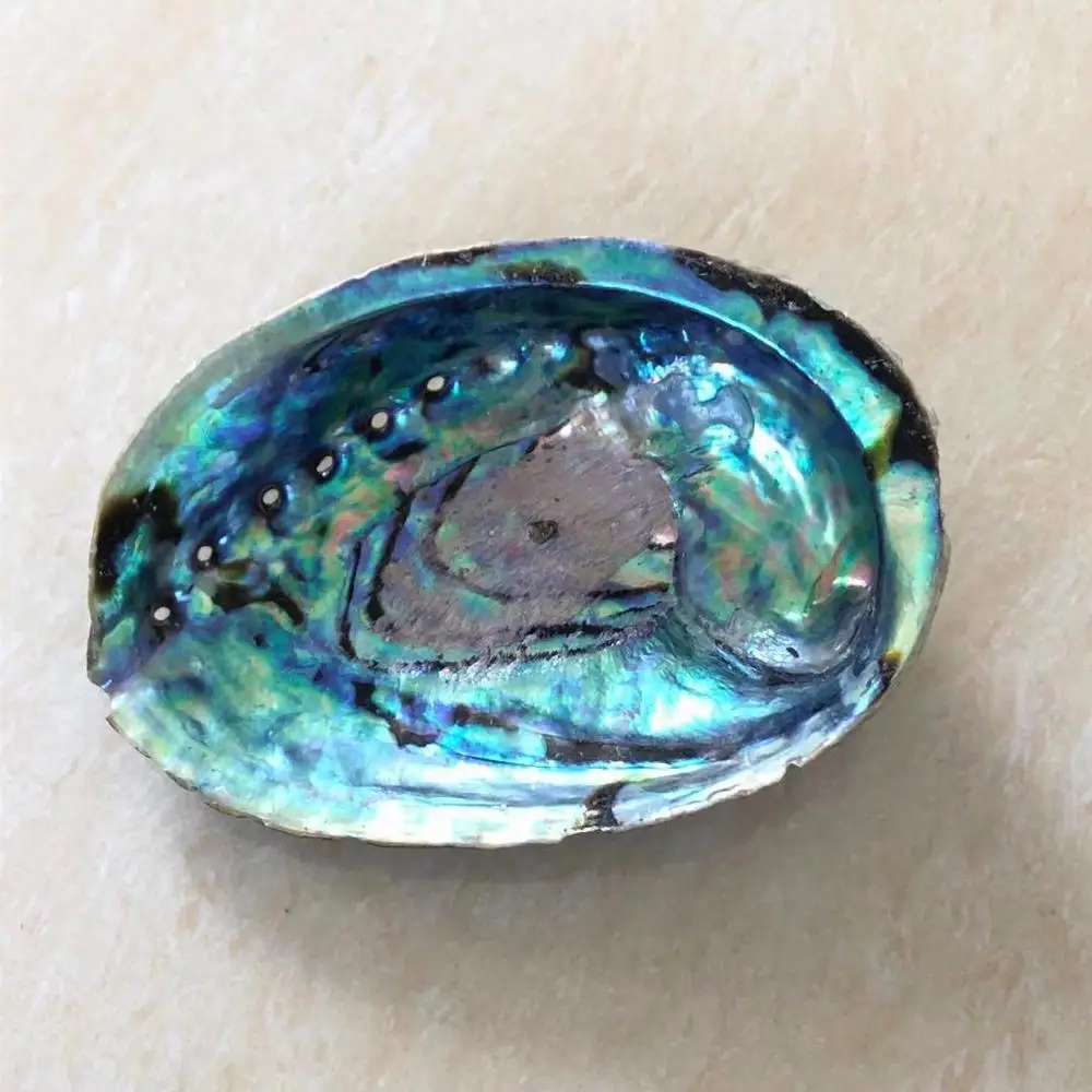 
Hot-selling natural marine raw crafts abalone shells for home decoration 