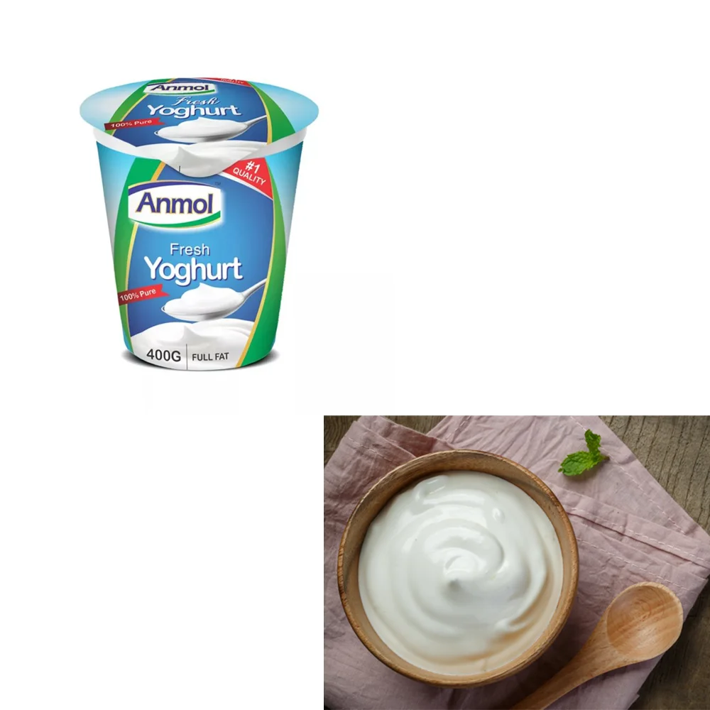 Fresh Yogurt from Pakistan Imported High Quality of Dairy Products by Foodies (PVT.) Limited