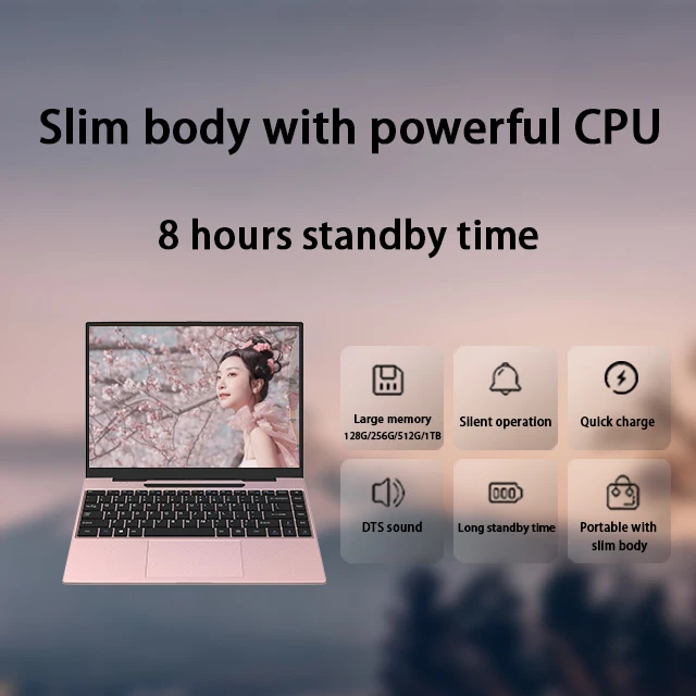 Popular 14 inch Win 10/11 Laptop with IPS Screen SSD 256GB For Laptop for Office Student Touchscreen Gaming Laptop