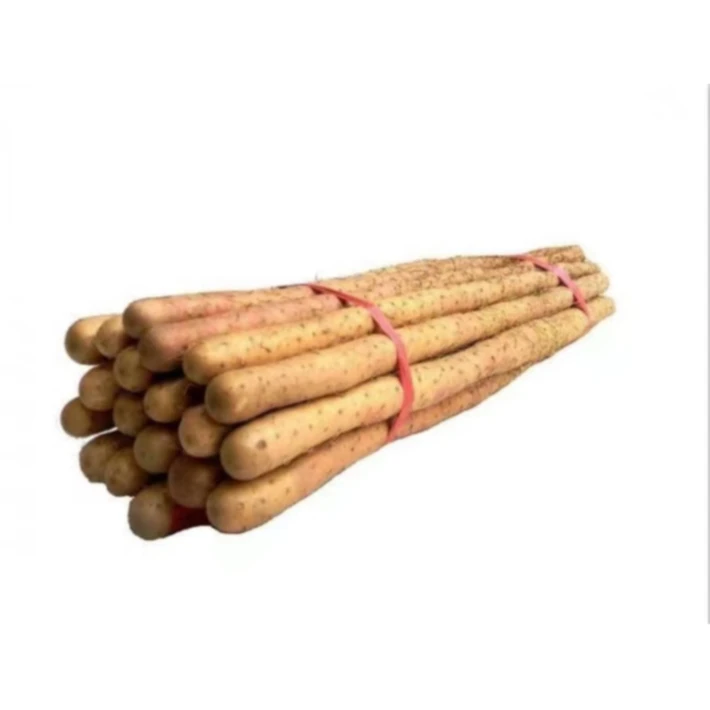 to have a long standing reputation Wholesale Price  Chinese Yam Crispy Vegetable  Healthy  Casual Snacks Chinese Yam