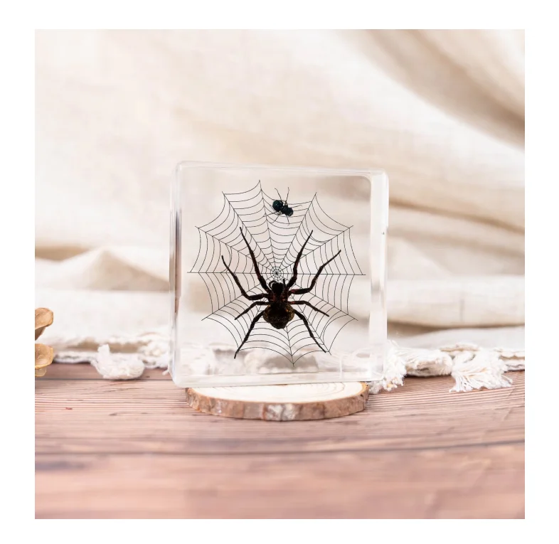 Хит продаж индивидуализированная натуральная смола микробиологический образец прозрачная кристаллическая насекомое