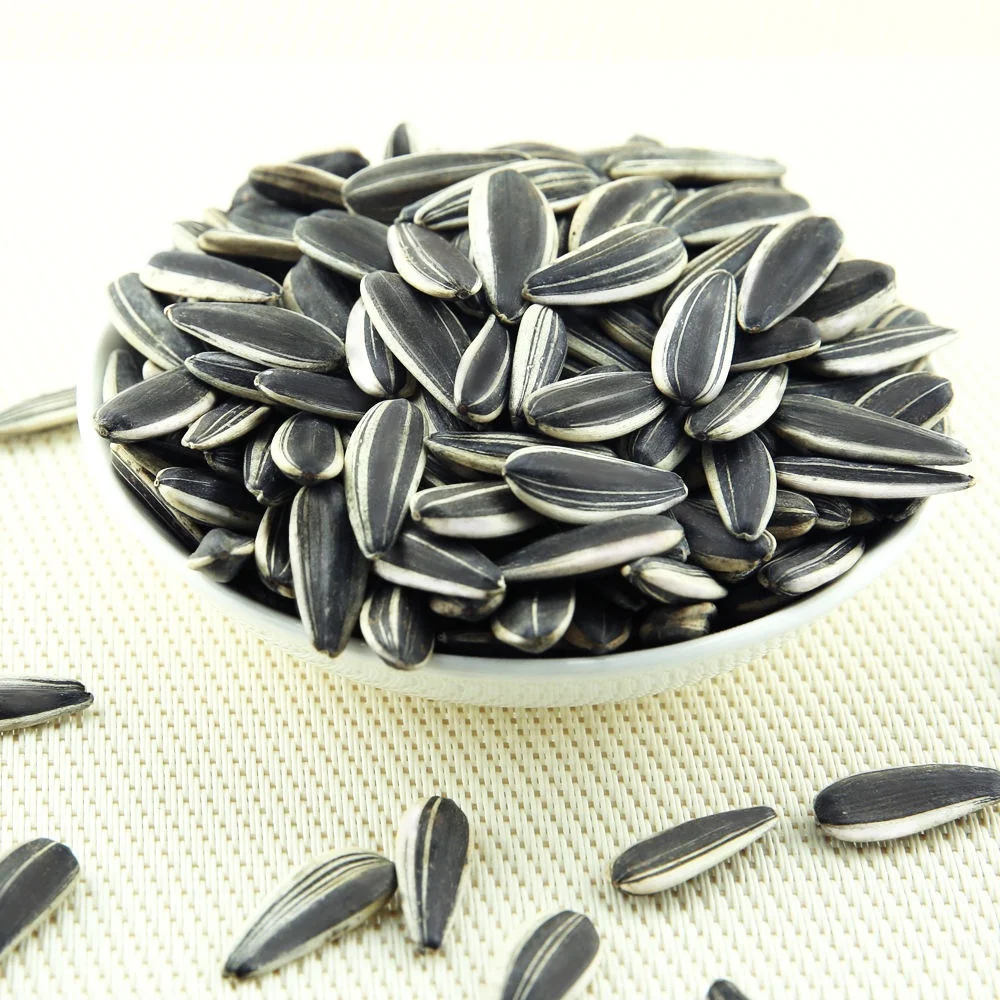 Premium Quality Organic Bulk Large Sunflower Kernels Seeds Wholesale Inner Mongolia 100% Natural 25/50kg Pp Woven Bag Packaging