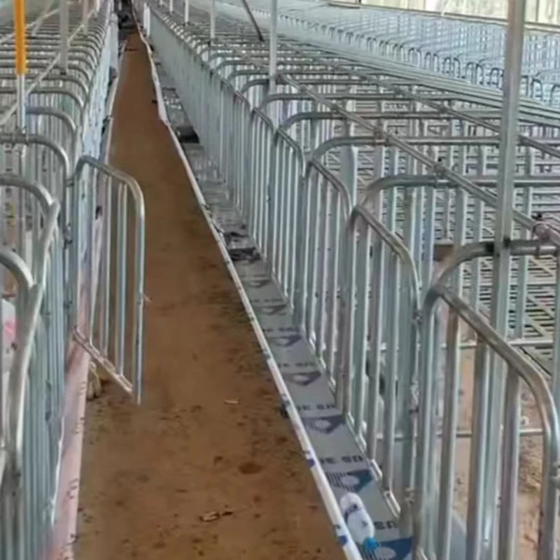 Customizable Animal Cages Pigs Sheep Pigs Sow Pen Conservation Fattening Breeding Separation Featuring Unique Fence Design