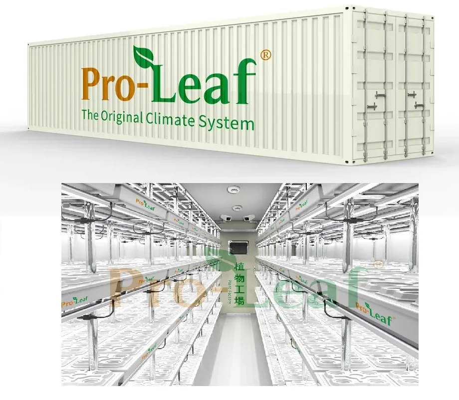 Pro-leaf 40HQ контейнерные фермы для салата/микрозеленого/Thcc/Растительные фермерские контейнеры изолированные