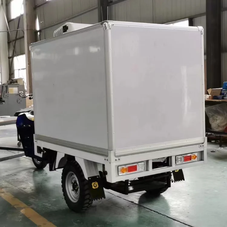 China Manufacturer Hot Sale Refrigerated Motorcycle Tricycle With Frozen Cabin for Refrigerated Cargo Delivery