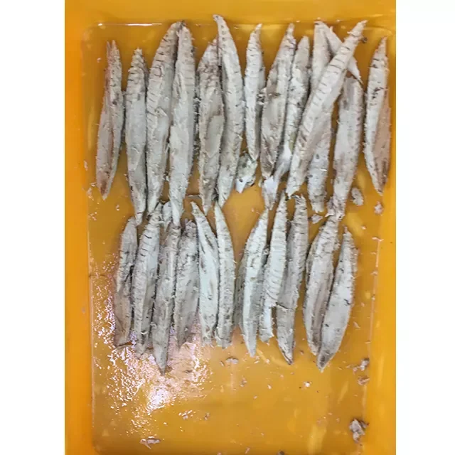 5kgs BQF Factory Frozen Tuna Fish Fresh Bonito Loin