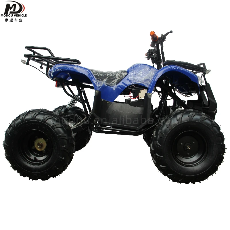 Adult children electric ATV 500W small atv entertainment