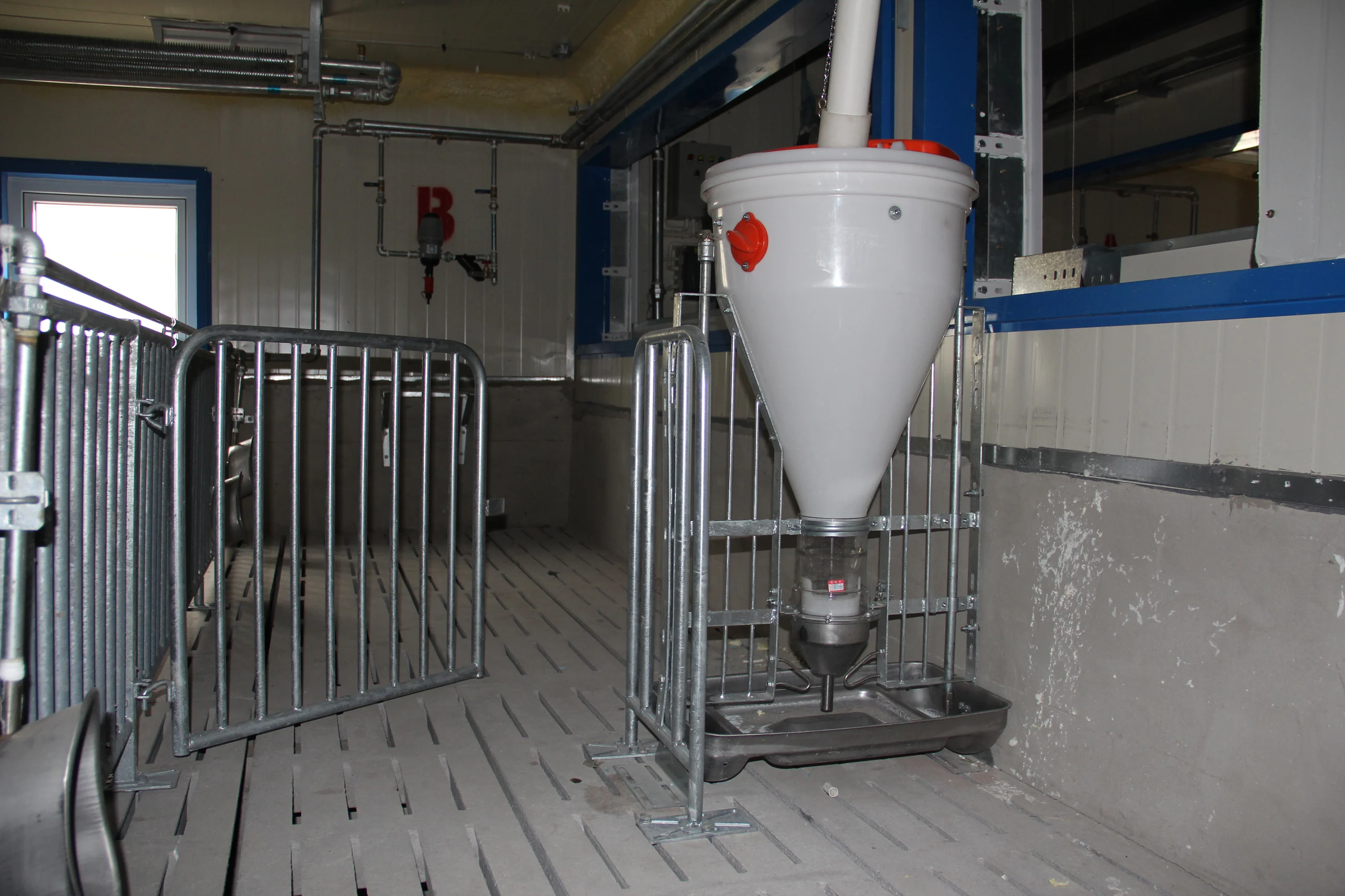 plastic automatic pigs equipment feeding trough for pigs