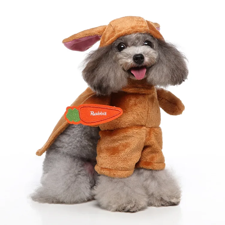 G Wholesale Hallowen and Chrismas Fastival Party Modern  Autumn Luxury Design pet clothes dogs Matching with Dog Clothes