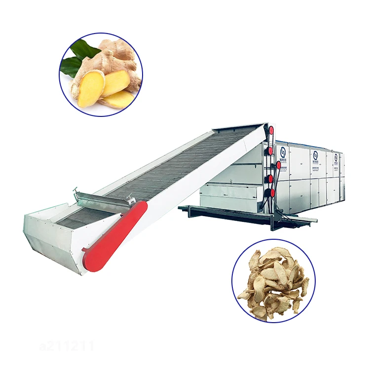 Large Capacity Automatic Turmeric Dryer Machine For Food Electric Dehydrator Garlic Ginger Drying Equipment