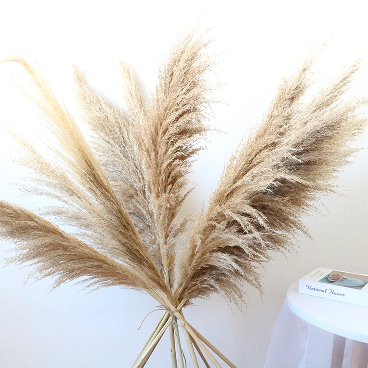 Оптовая продажа, декоративные сушеные цветы и растения, тростниковые Шлейфы 100 см, большие сухие натуральные пампасы, трава