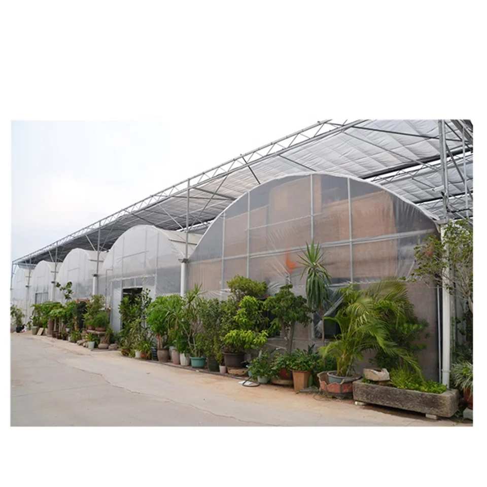 
multi span agricultural greenhouse structure 