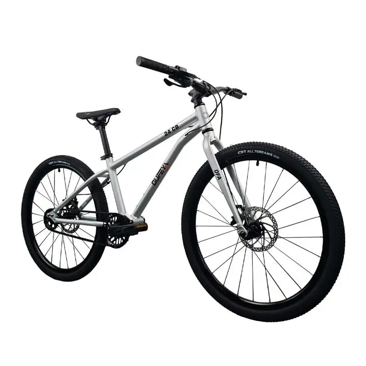 Oufeya New design of the in-center 5-speed belt drive bike