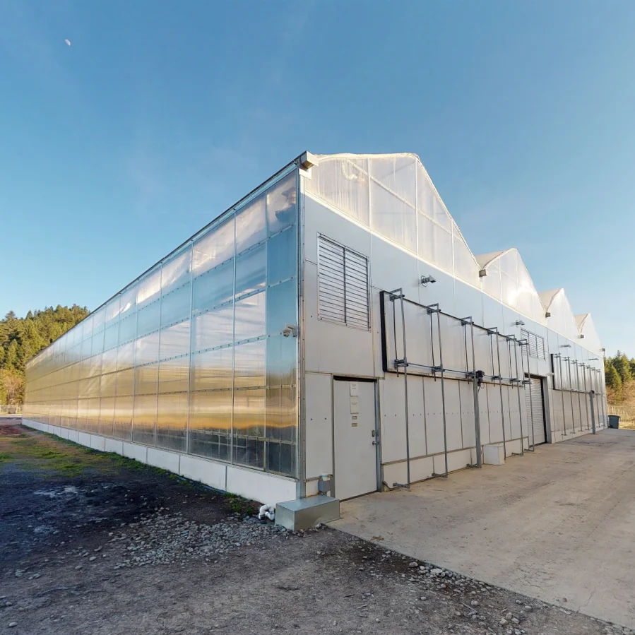 FM prefab tomato planting glass green house agricultural mushroom used greenhouse cooling system parts accessories for sale