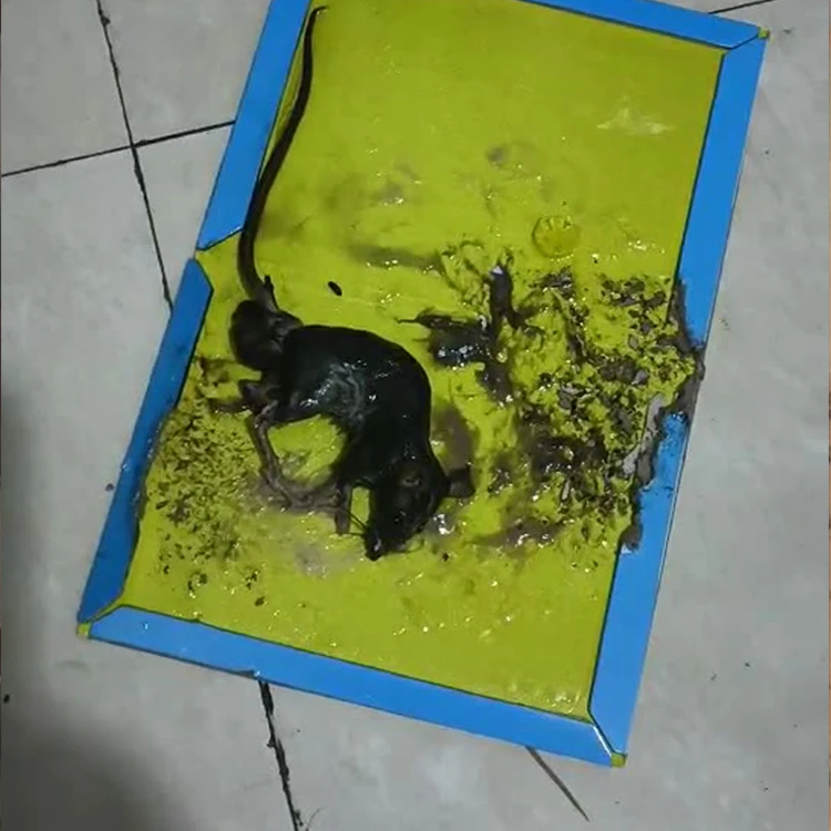 factory wholesale mouse trap paper sticky glue board pest trap sticker rodent repellant control glue mouse traps