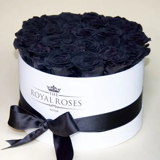Luxury Ecuadorian Roses Real Fresh Everlasting Rose Preserved Flower