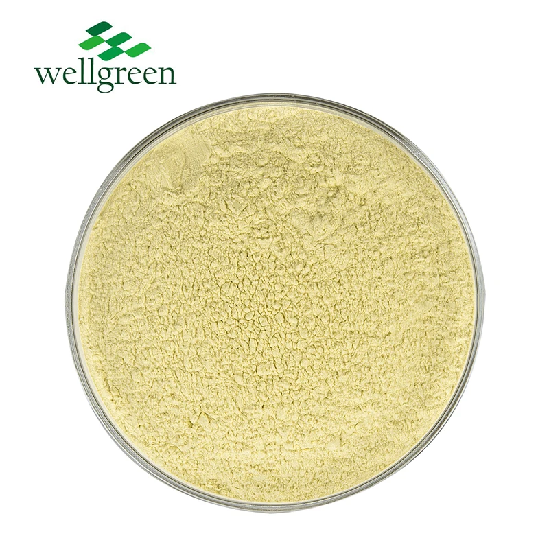 USDA Organic Hot Selling 100% Natural Herbal Extract Kaempferia Galanga Extract Powder 10:1 for Nutritional Supplement