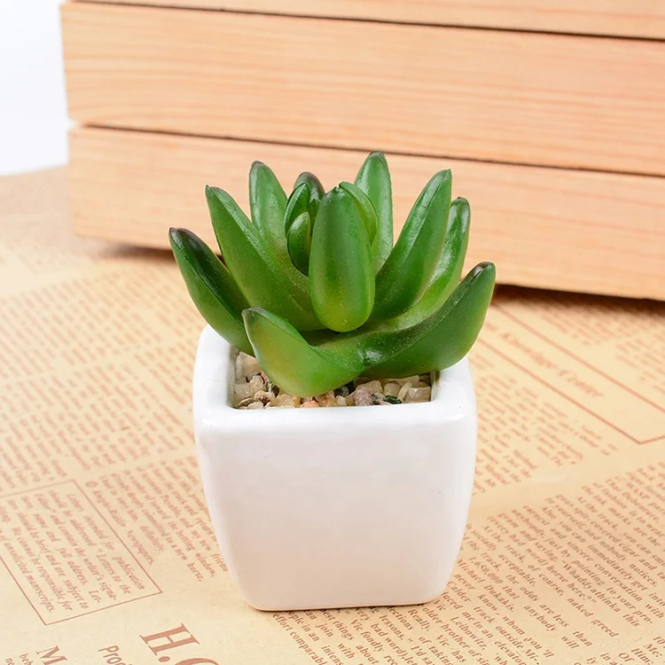 Factory direct Indoor Garden Decor Artificial Potted Mini Succulent Cactus Plants with Ceramic Pots manufacturer ES0001