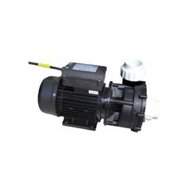 SPA Pool Massage Jet Pump Slient Electric Swimming Pool Powerful Water Pump
