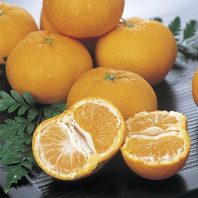 Japanese wholesale bulk agricultural products wholesale with good quality