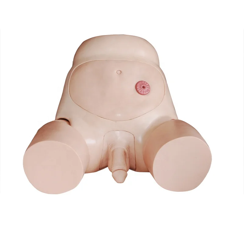 Advanced Male Urethral Catheterization Simulator Hospital school medical teaching anatomical model BC1115-08C
