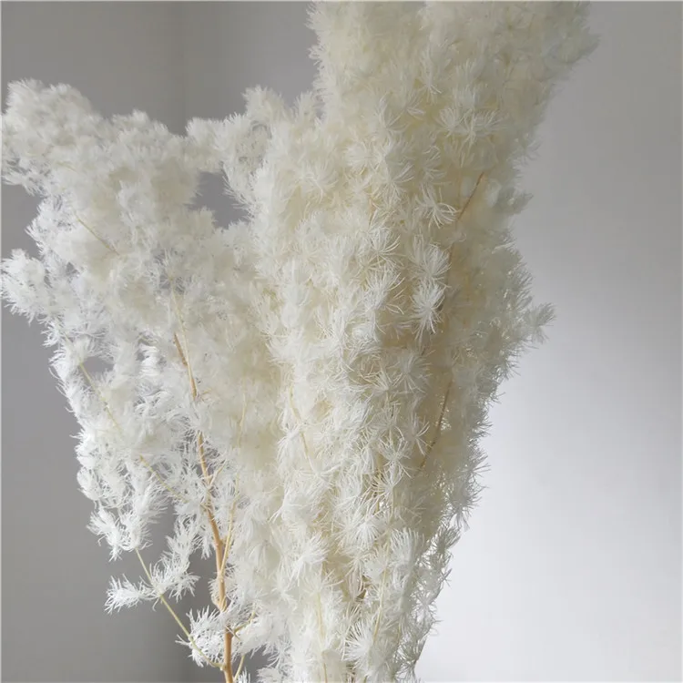 summer flora Floating flower decoration Natural everlasting flowers preserved flower asparagus myriocladus