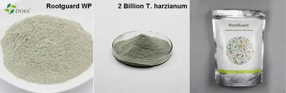 Органическое биокомпостное удобрение Trichoderma harzianum, защищающее от болезней почвы