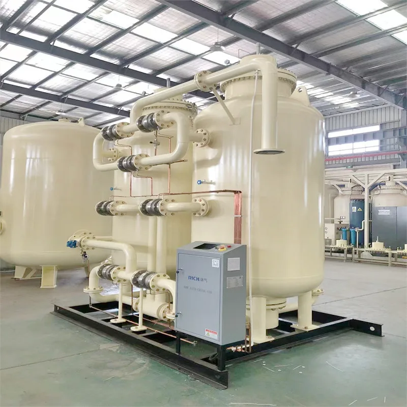 Hot Sale PSA Nitrogen Generator With Best Price CE Approval Purity 9999 Pharmaceutical Nitrogen Generator