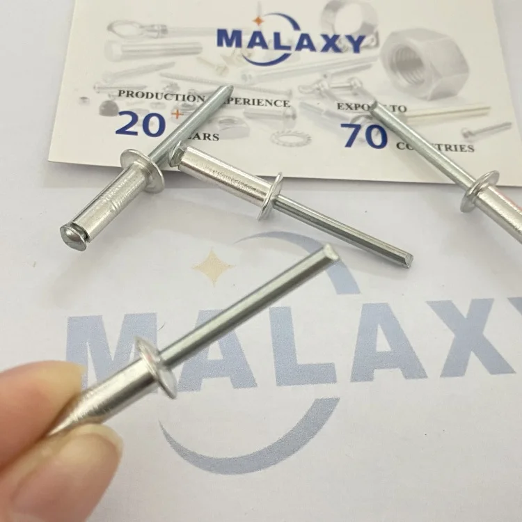 Malaxy из нержавеющей стали с потайной головкой направляющий штифт стальной слепой вытяжная заклепка Rebite;
