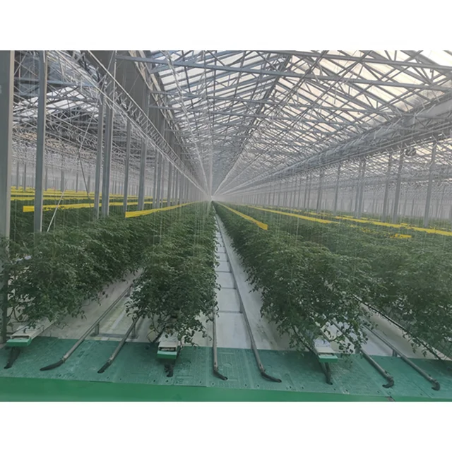 MUCHEN intelligence agricultural hydroponic system greenhouses