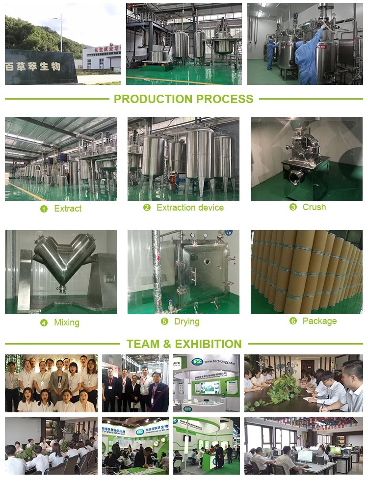 Bulk Wholesale Ficus Carica Fig Extract Freeze Dried Fig Fruit Powder