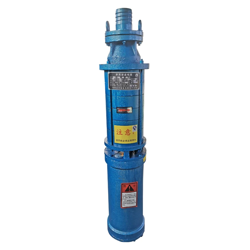 High Head Lift QL series salt brine water pumps for Seawater Chemical Plants and Marine Aquaculture Farms