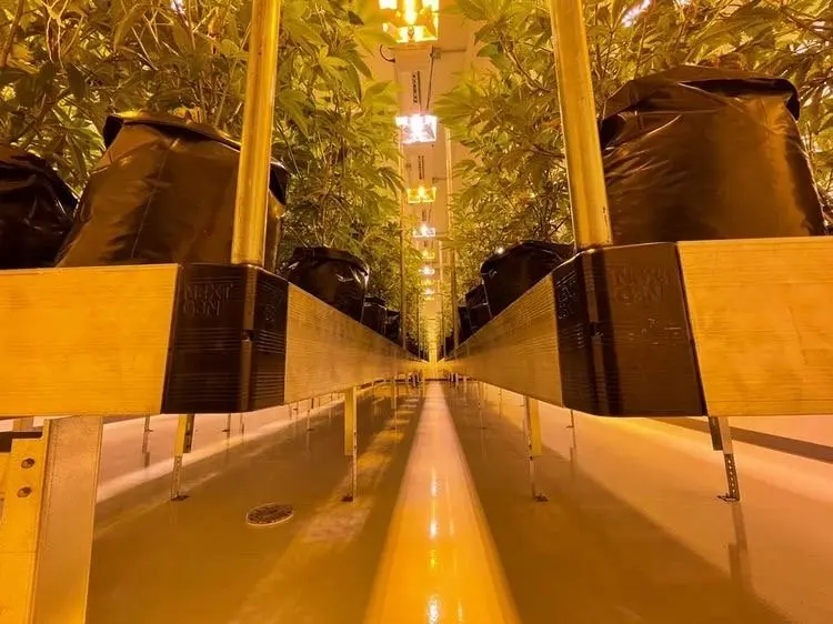 greenhouse tables